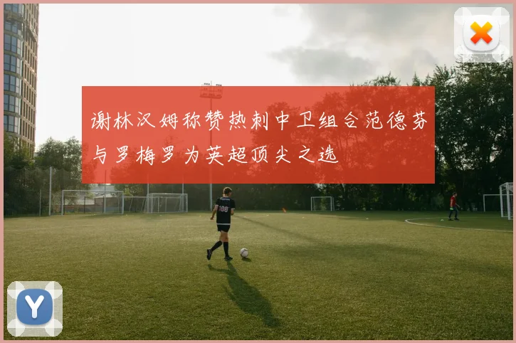 谢林汉姆称赞热刺中卫组合范德芬与罗梅罗为英超顶尖之选