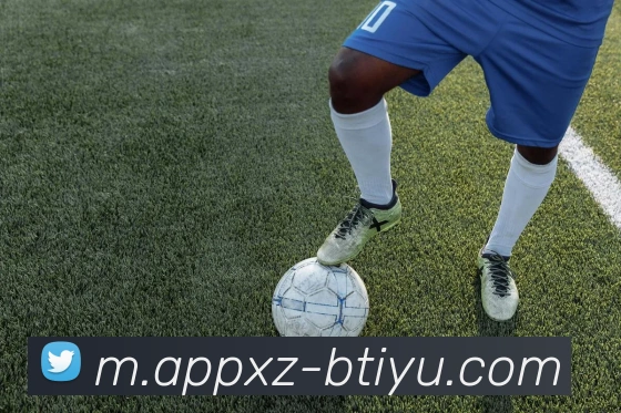 B体育APP 高清赛事图